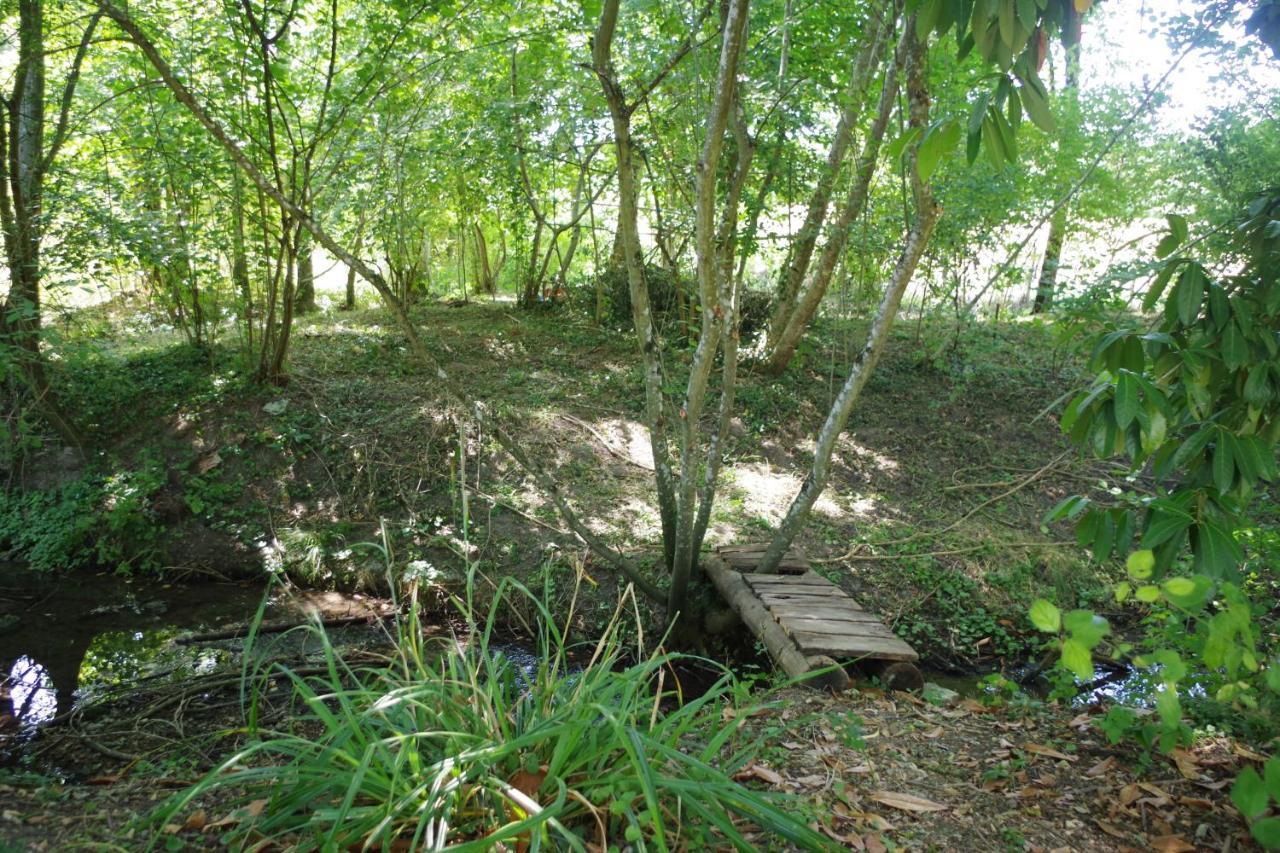 Gite Du Moulin De Vandon Souvigny-de-Touraine Eksteriør bilde